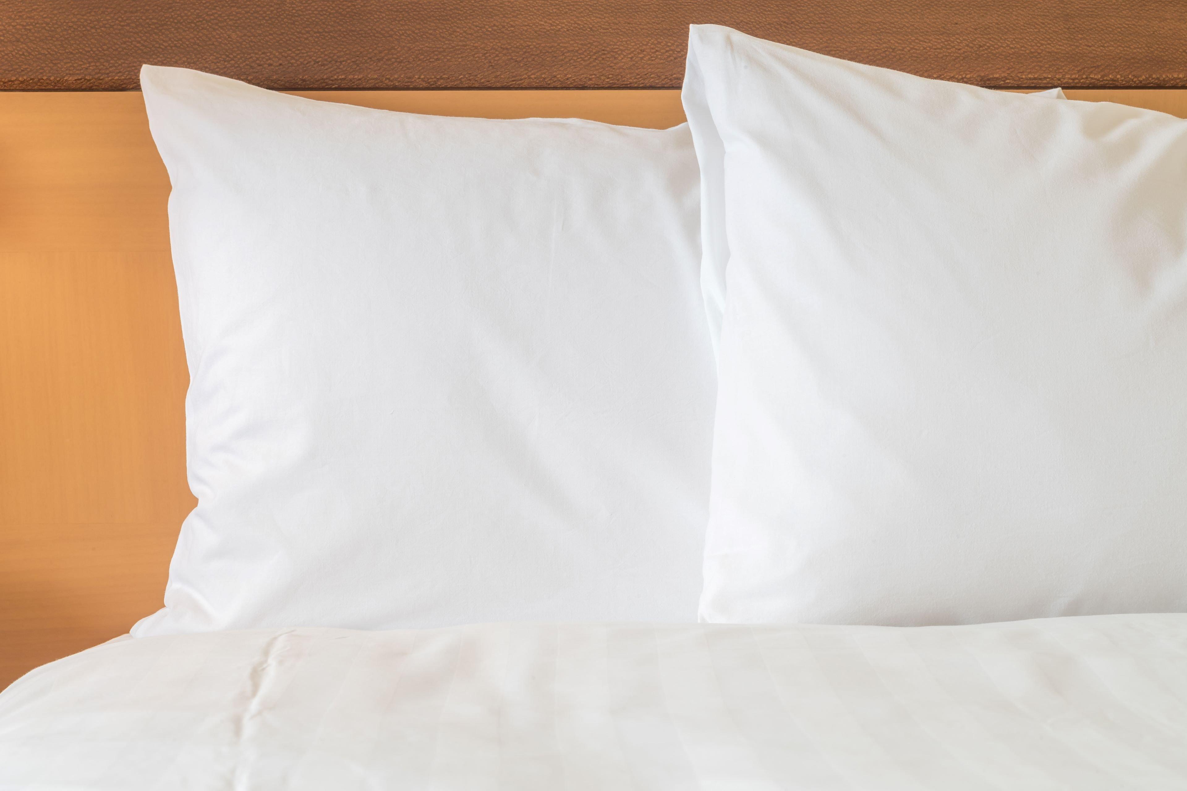 Holiday Inn Express Hotel & Suites Port Richey By Ihg Екстериор снимка